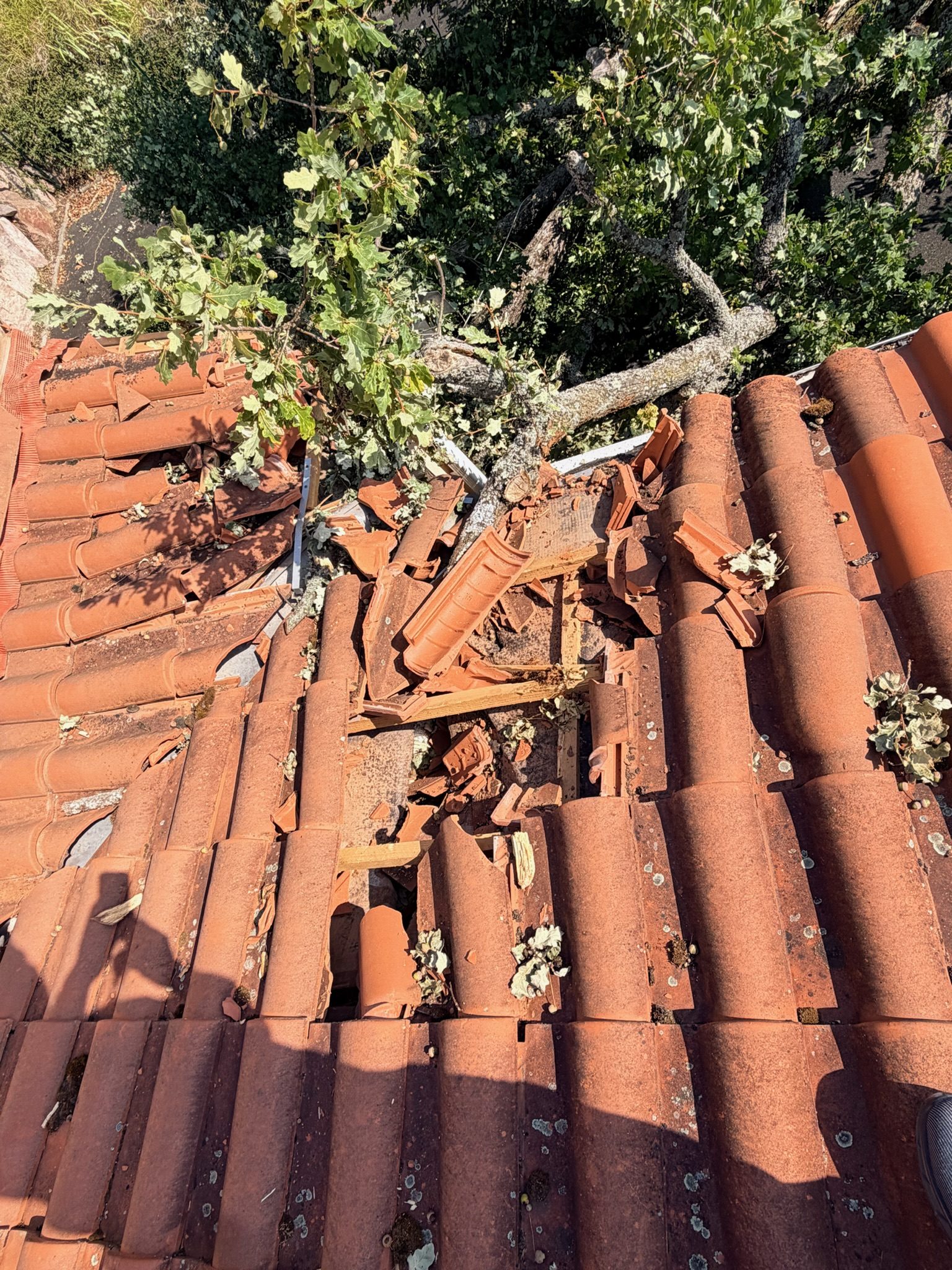 Mise hors d'eau provisoire, chantier mené par Toiture Charpente