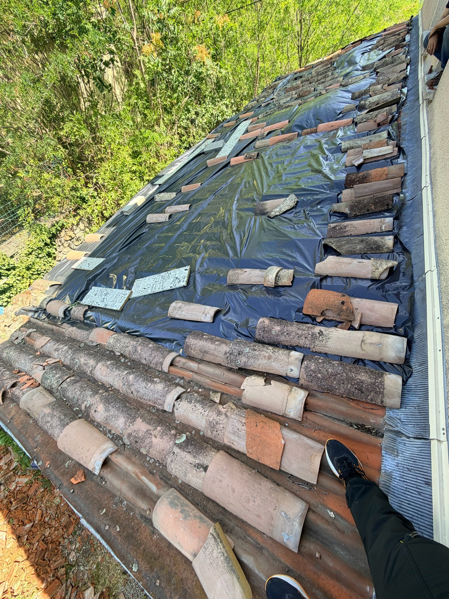 Couverture encrassée avant démoussage, chantier mené par Toiture Charpente